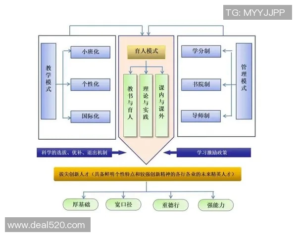 后备人才培养体系建设与创新发展路径探讨