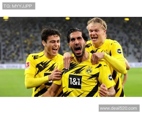 霍芬海姆斩落多特蒙德,德甲热门队遭遇连败不振 霍芬海姆斩落多特蒙德,德甲热门队遭遇连败不振